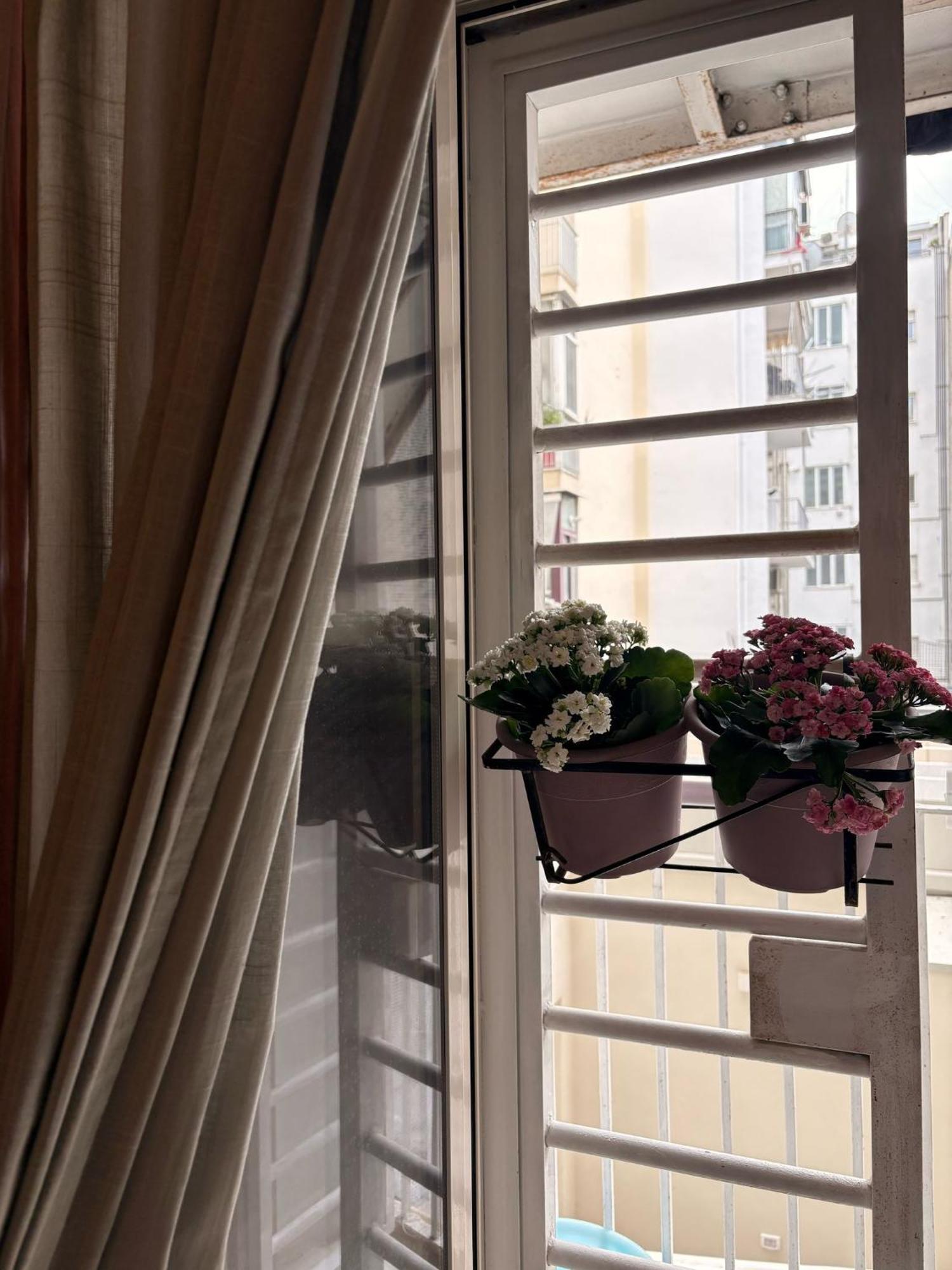 Casa Di Gianna Guest House バーリ エクステリア 写真